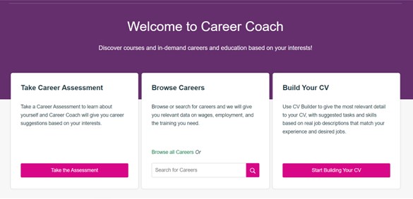 CV Builder Websites & Templates